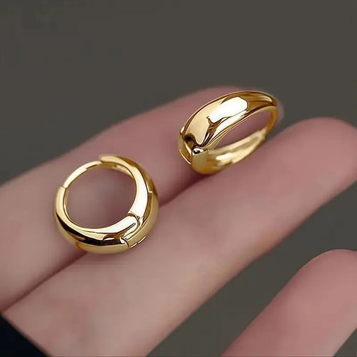 Korea Temperament Stainless Steel Geometric Teardrop-shaped Smooth Surface Hoop Earring for Women Men Trendy Jewelry Accessories